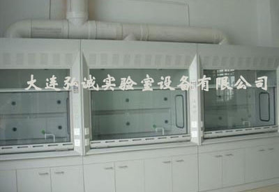 乐动网页版标准型通风柜定制